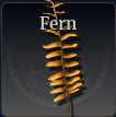 Fern icon